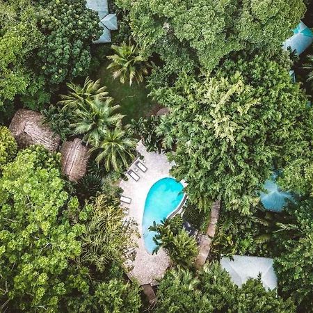 Copal Tree Lodge A Muy'Ono Resort Toledo District Экстерьер фото