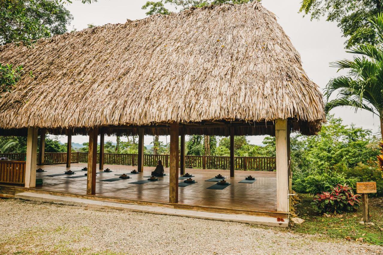 Copal Tree Lodge A Muy'Ono Resort Toledo District Экстерьер фото