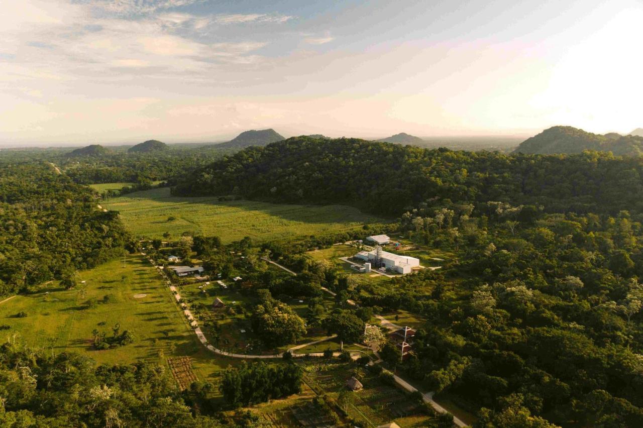 Copal Tree Lodge A Muy'Ono Resort Toledo District Экстерьер фото