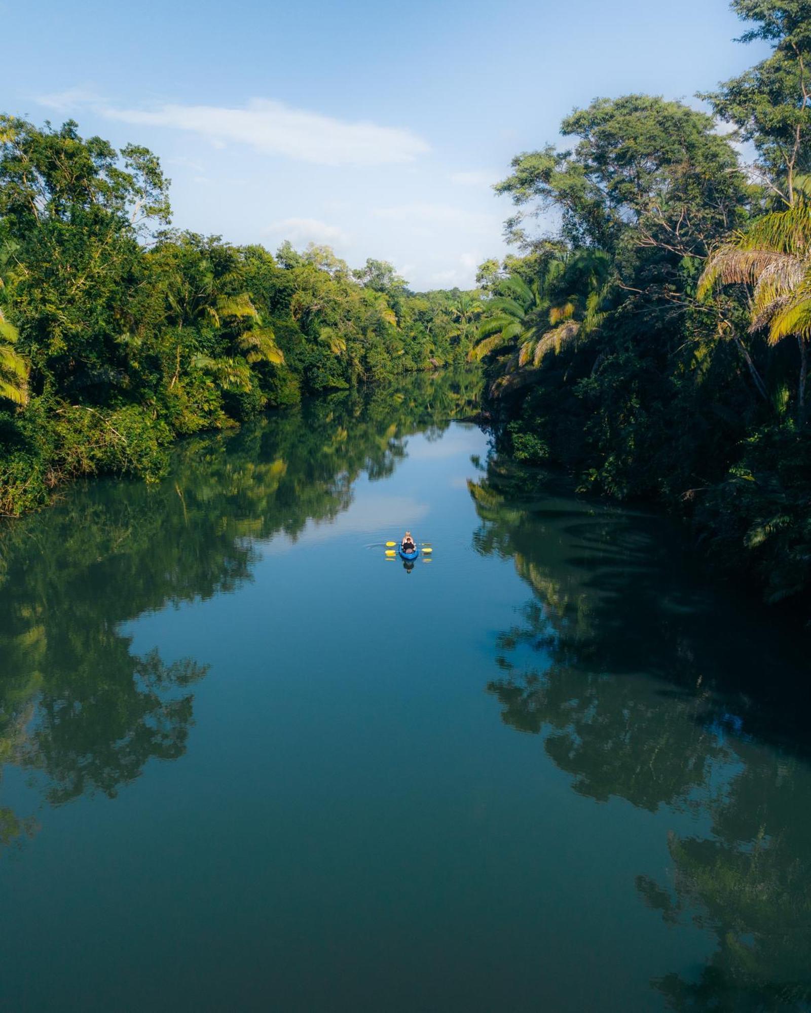 Copal Tree Lodge A Muy'Ono Resort Toledo District Экстерьер фото