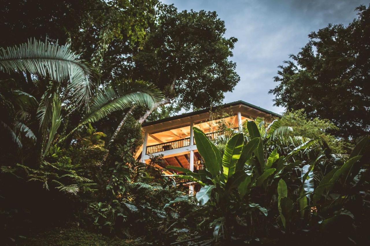 Copal Tree Lodge A Muy'Ono Resort Toledo District Экстерьер фото